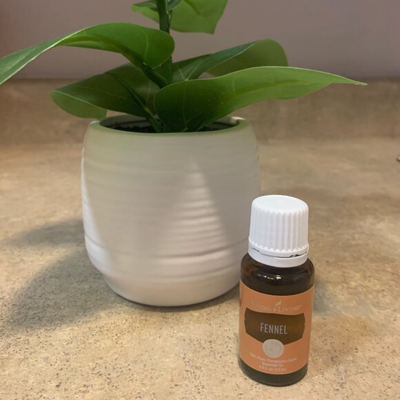 Fennell Young Living Essential Oil - 15 ml - Picture 3 of 4